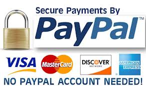 We process online transaction through Paypal